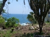 Manzanillo ocean4